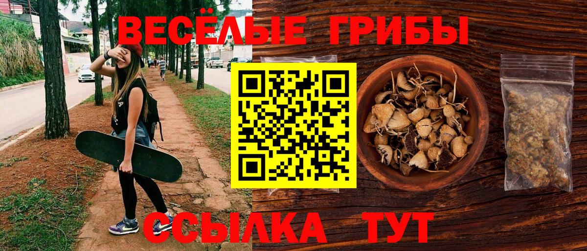 Псилоцибиновые грибы Cubensis  Вход с VPN  Домодедово 